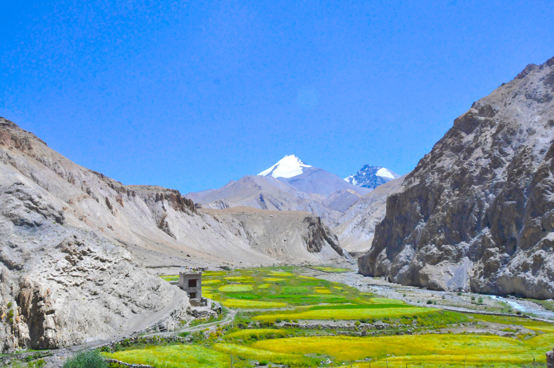 Rupshu Valley Trekking-11 Days